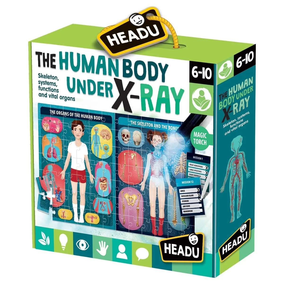 Headu The Human Body Under X-Ray Puzzle Kit for Kids