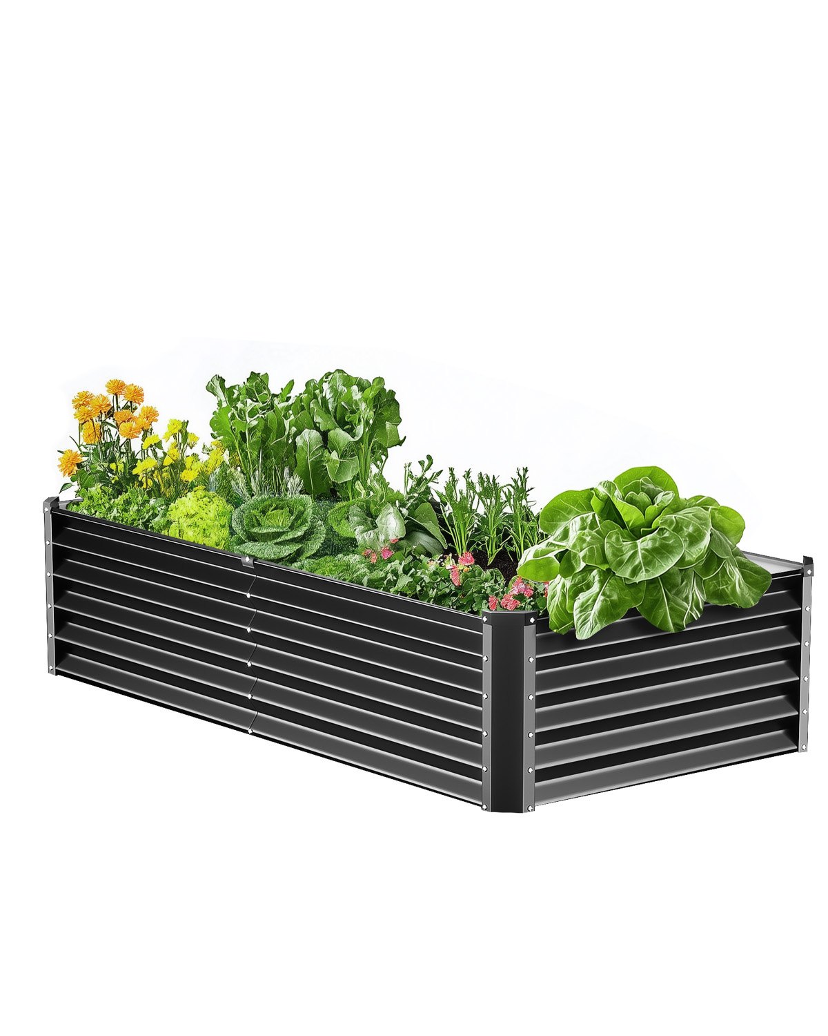 Metal Raised Garden Bed, 6 x 3 x 1.5 ft Outdoor Galvanized Planter Box, with Open Bottom, Large Planter Raised Bed for Gardening Vegetables, Flowers, Herbs, and Succulent Plants, Dark Gray