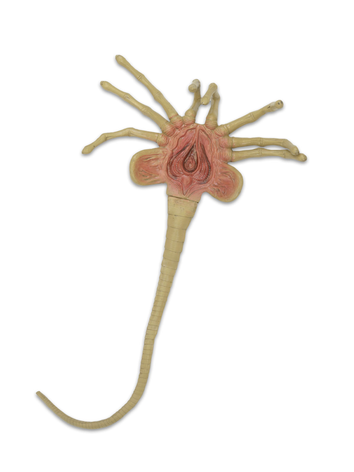 Neca Alien Life-Size Facehugger Foam Prop Replica