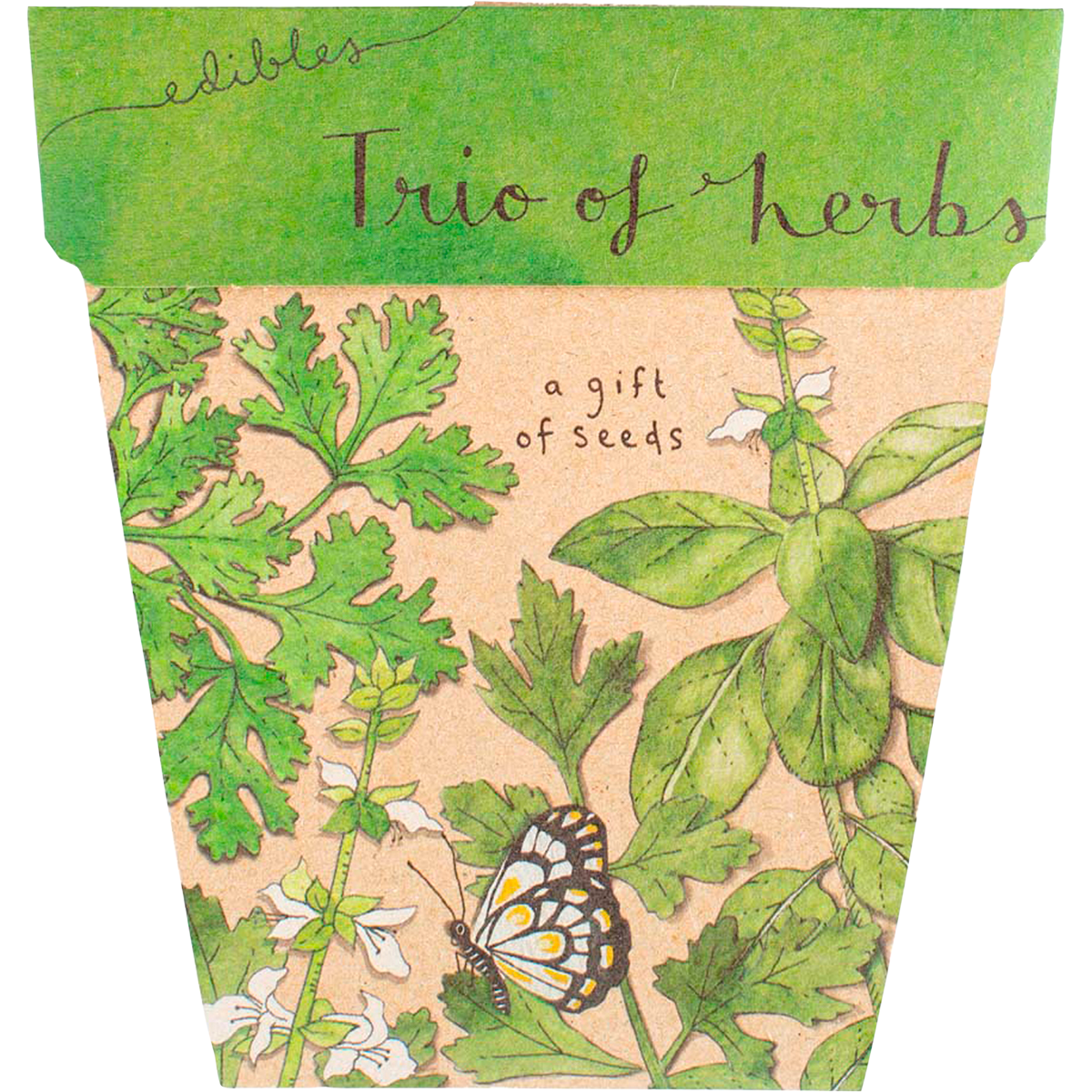 Sow 'n Sow Gift of Seeds Trio of Herbs