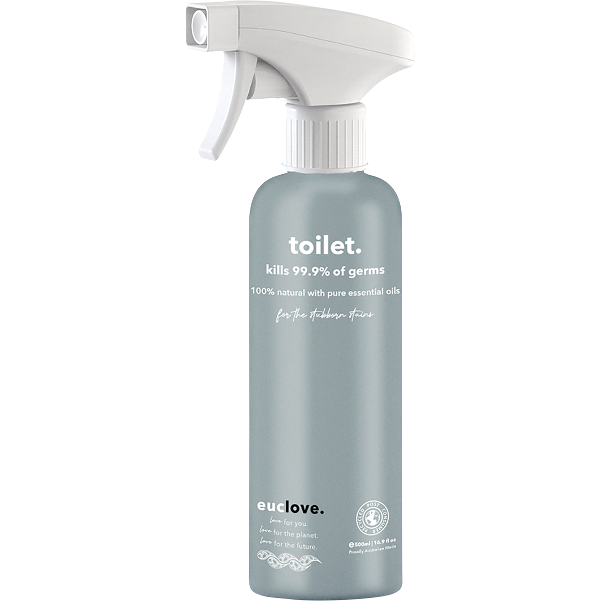 Toilet Cleaner 500ml